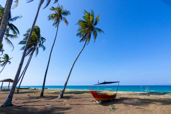 Bonus Fără Depunere La Cazinoul 22Bet ➤ Vaslui   🔮