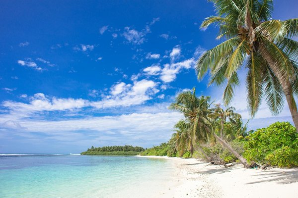 Equal Sociable Casino Dependable For Disengage Time Slot And Cash In Prise ♬ Canada   Play & Earn